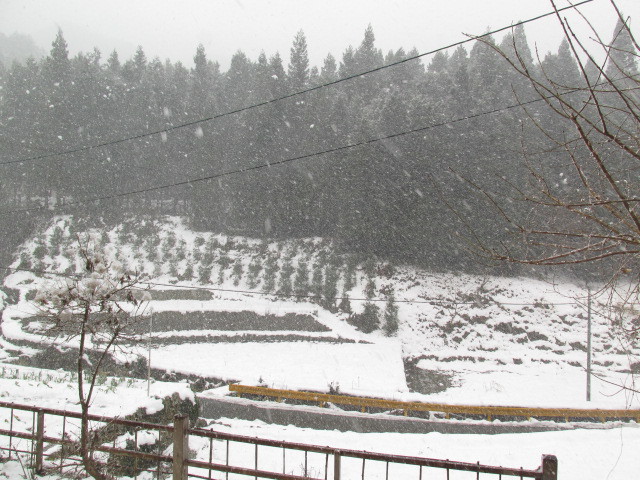 f0341616_14405902.jpg