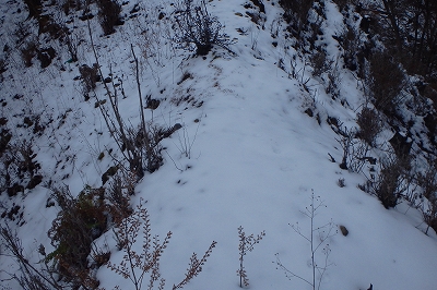 f0193521_19142816.jpg