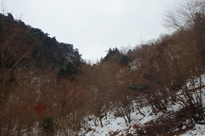 f0193521_19245576.jpg