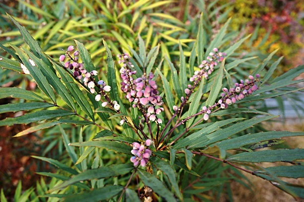 b0068423_197281.jpg