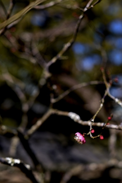 a0318033_23185726.jpg