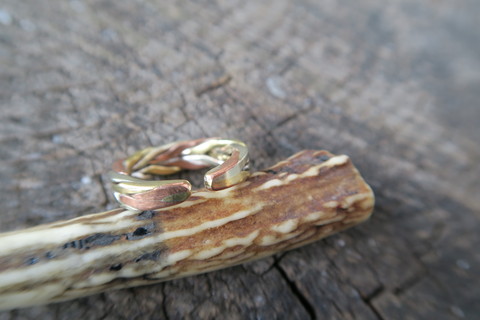 e0169535_1453170.jpg