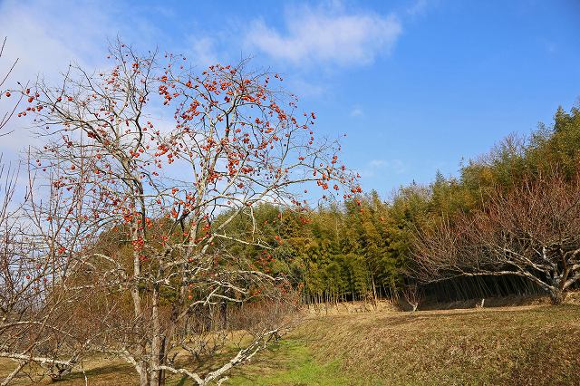 a0242438_1813218.jpg
