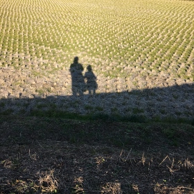 e0325038_22211469.jpg
