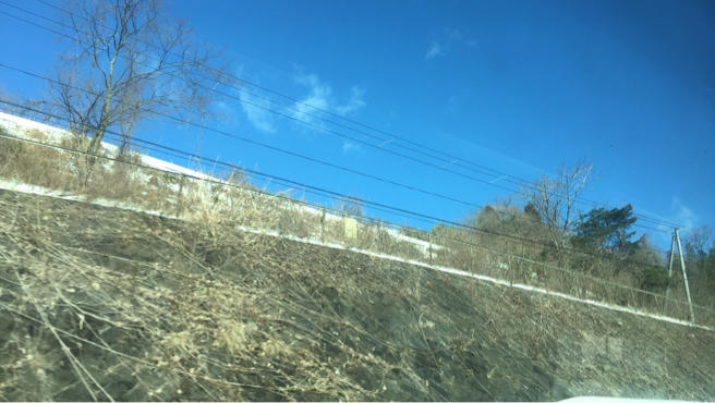 d0353342_12051104.jpg