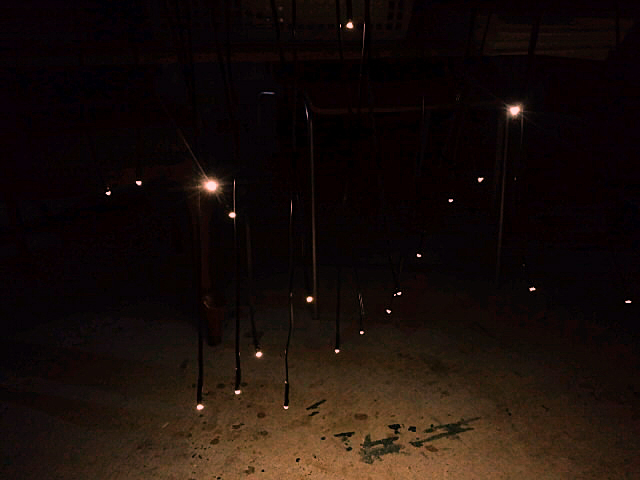 a0192147_07172.jpg
