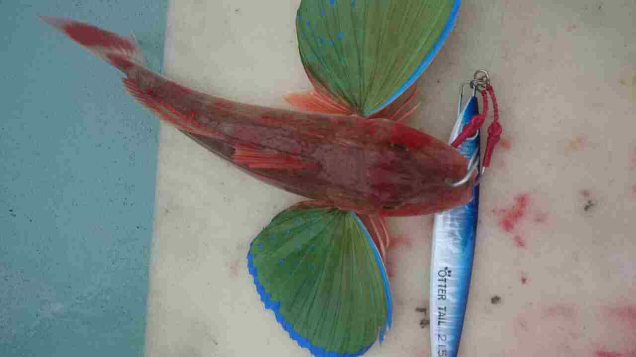a0248152_18454140.jpg