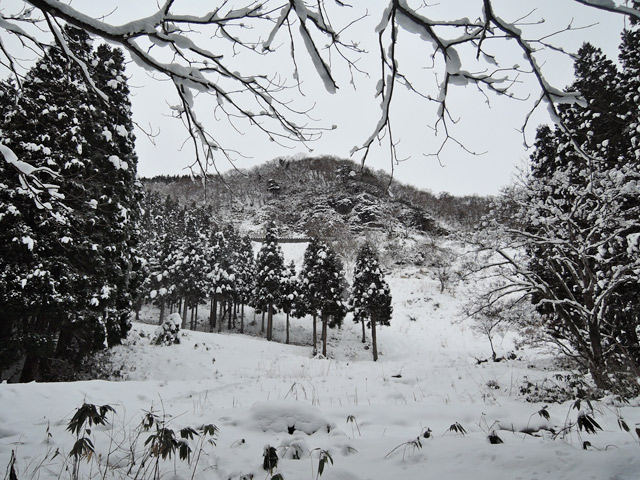 c0116856_2152473.jpg