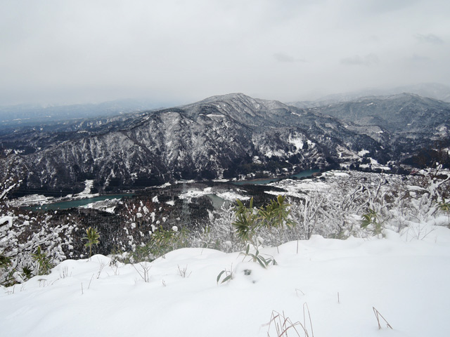 c0116856_21532920.jpg