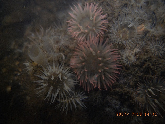 b0075059_2142458.jpg