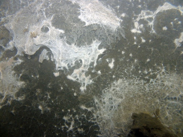 b0075059_2146128.jpg