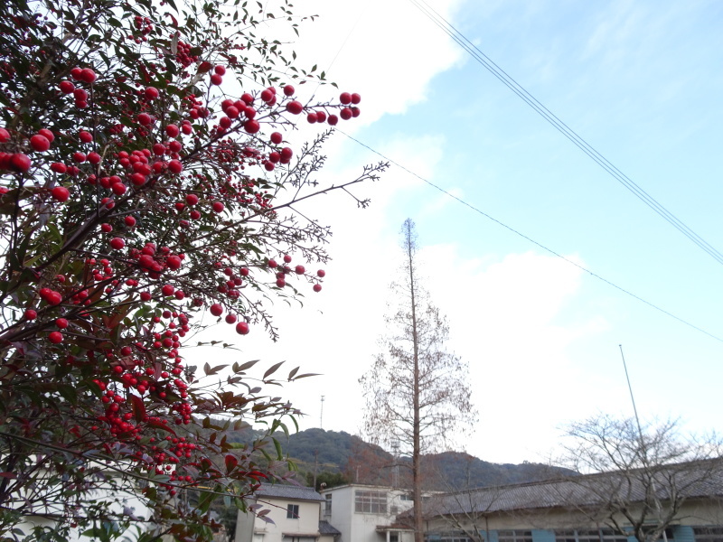 c0108460_13110497.jpg