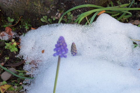 e0088260_12010100.jpg