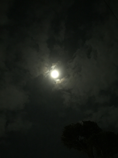 e0107171_00245136.jpg