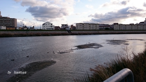 b0245877_15441518.jpg