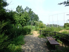 d0183387_13071292.jpg