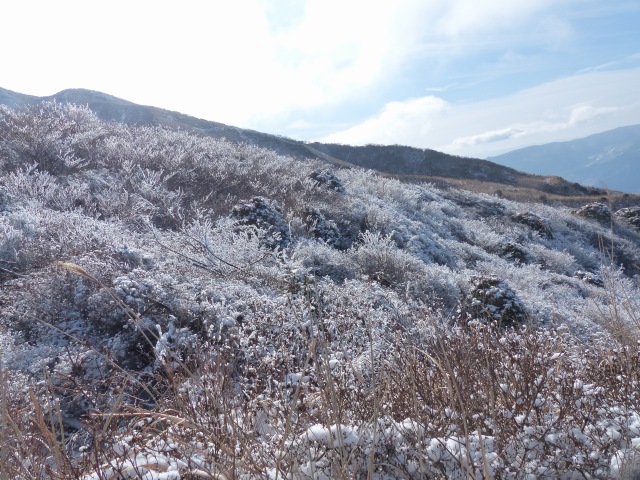 f0357487_22421621.jpg