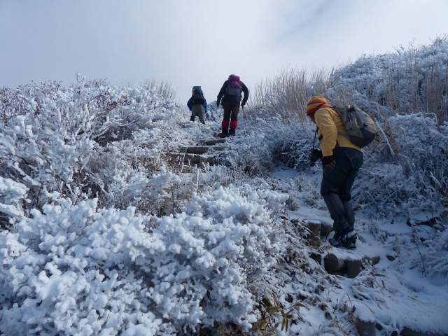 f0357487_22481491.jpg
