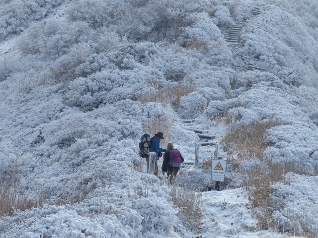 f0357487_22492742.jpg