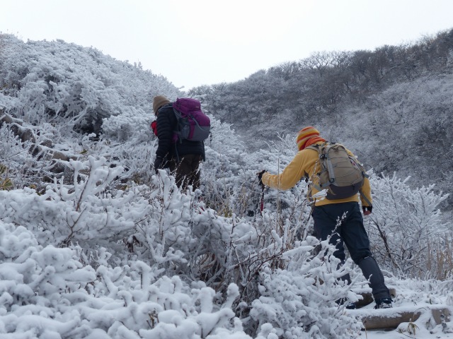 f0357487_225147.jpg