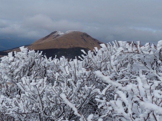 f0357487_230567.jpg