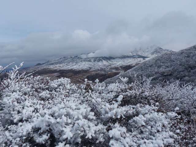 f0357487_2315098.jpg