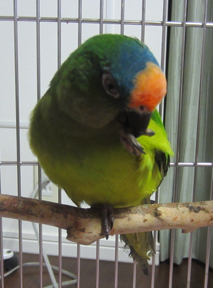 f0234590_93439.png