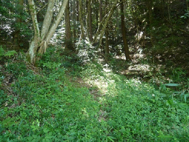 e0354697_22010719.jpg