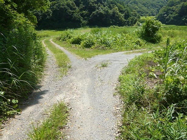 e0354697_22012742.jpg