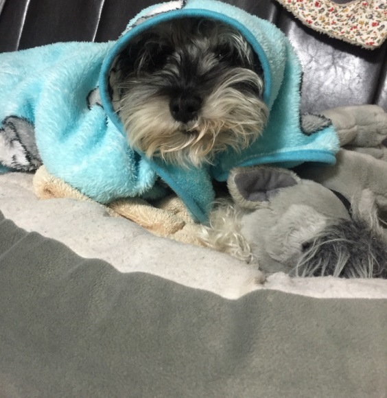 b0188998_13301964.jpeg