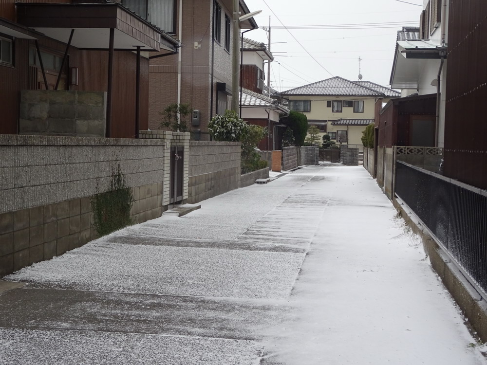 b0052108_11324100.jpg