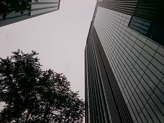 d0091909_17355886.jpg