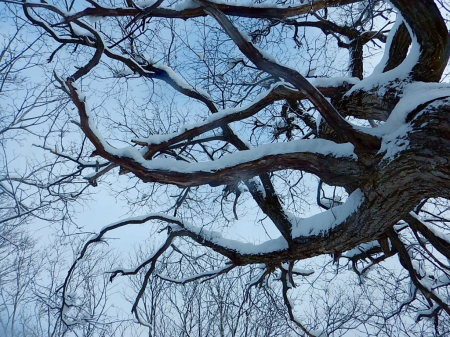b0183911_17291182.jpg