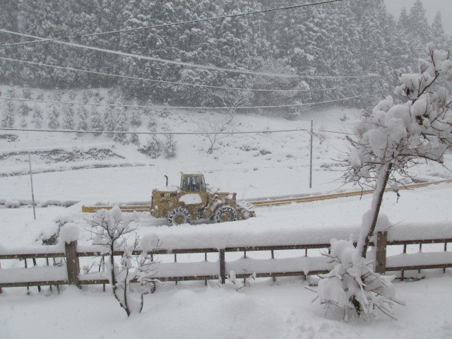 f0341616_15212287.jpg