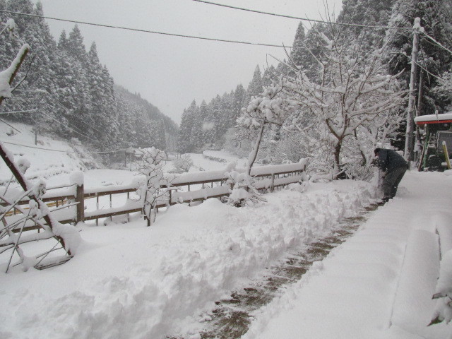 f0341616_15254356.jpg