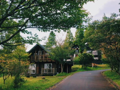 c0177817_01093255.jpg