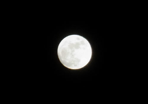 a0214919_07410521.jpg
