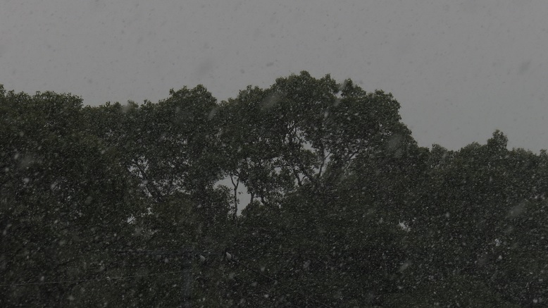 c0097620_1441314.jpg