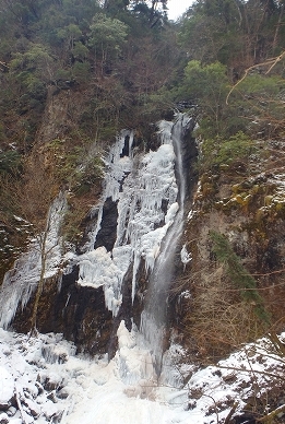 f0193521_4233836.jpg