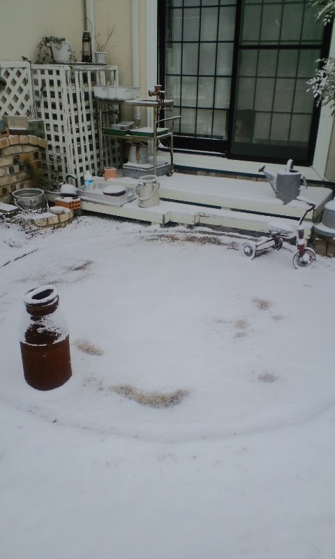 e0050324_1482917.jpg