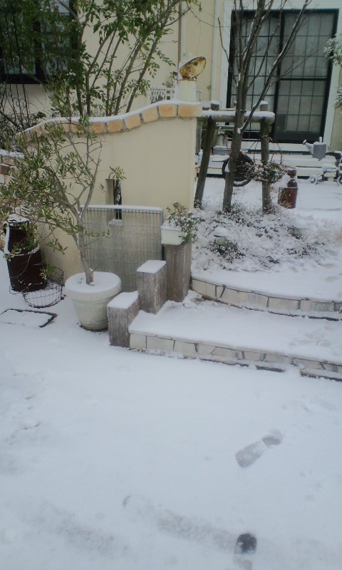 e0050324_1482977.jpg