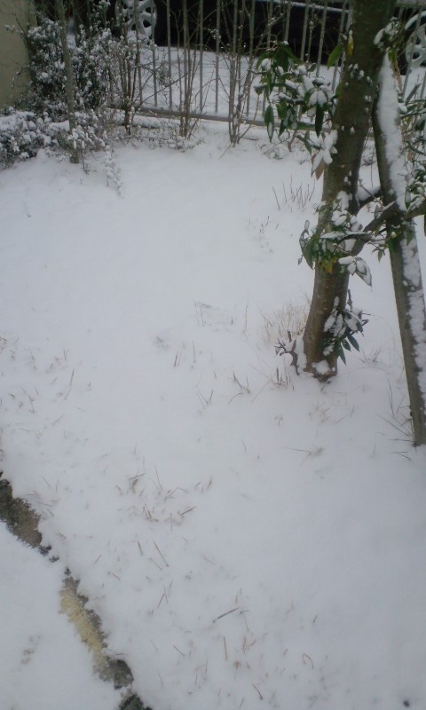 e0050324_1482981.jpg