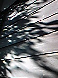 e0182926_11525397.jpg