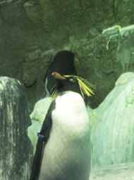 c0188928_185393.jpg