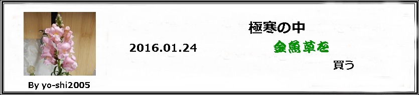 e0033229_1704823.jpg