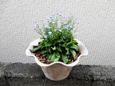 e0033229_17213911.jpg