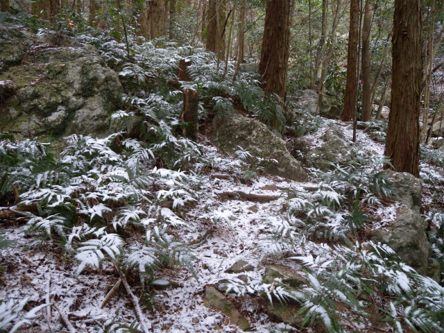 e0272335_1556581.jpg