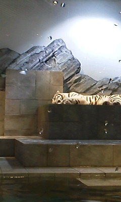 a0050838_97930.jpg