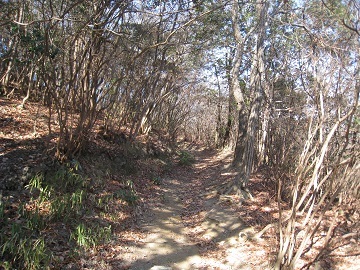 c0077338_19342512.jpg