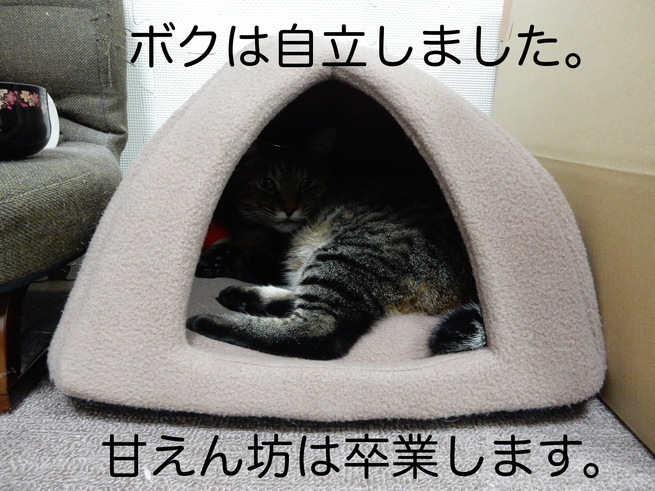 f0247039_12162339.jpg